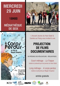 affiche proj seix ok