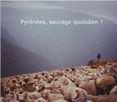 im_pyrenees